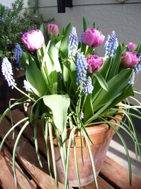 pot_spring 003.jpg